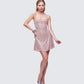 Daphne Nude Rhinestone Mini Dress